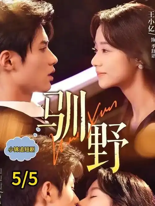 逆风的女医生剧集海报